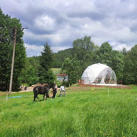 Forrest Glamp Luxury tent Mieroszow
