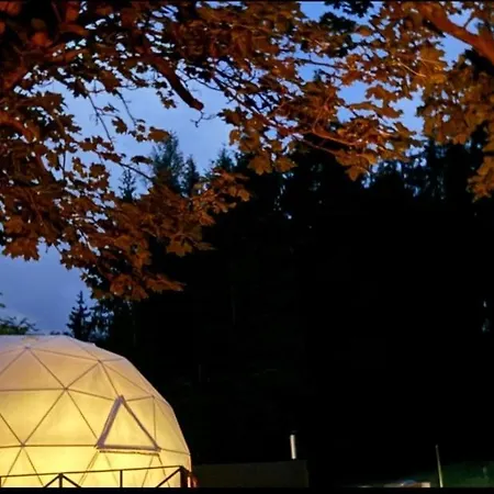 Luxury tent Forrest Glamp Mieroszow