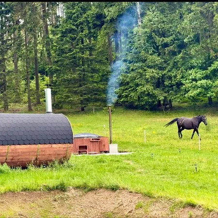 豪华帐篷 Forrest Glamp *