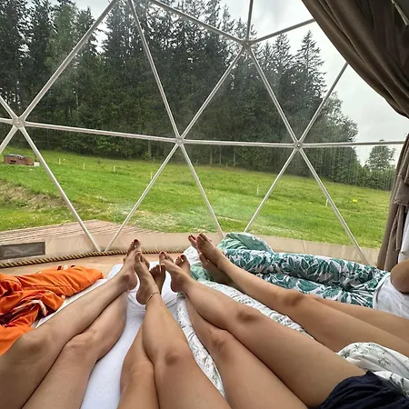 Luxury tent Forrest Glamp