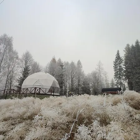 Forrest Glamp