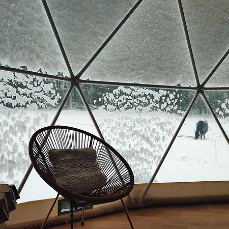 Forrest Glamp Luxury tent