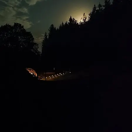 Forrest Glamp * Mieroszow