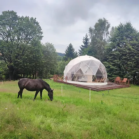 Luxusní stan Forrest Glamp *