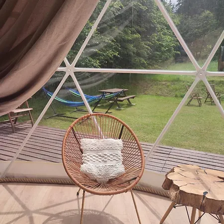 Forrest Glamp Mieroszow