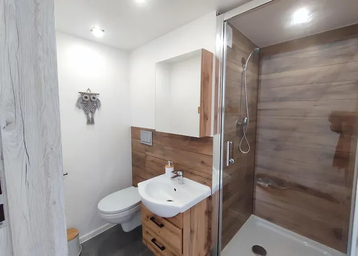 Forrest Glamp * Mieroszow