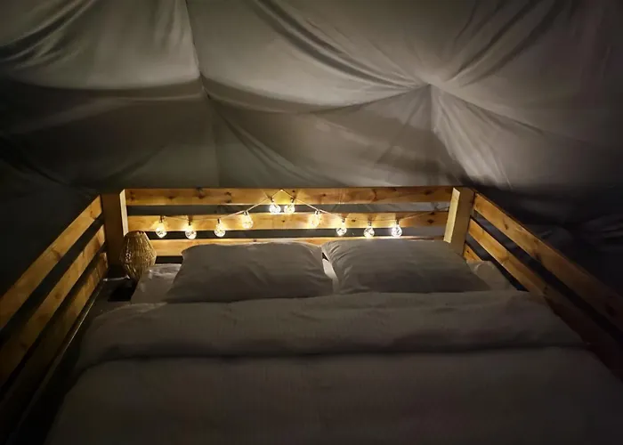 Forrest Glamp * Mieroszow