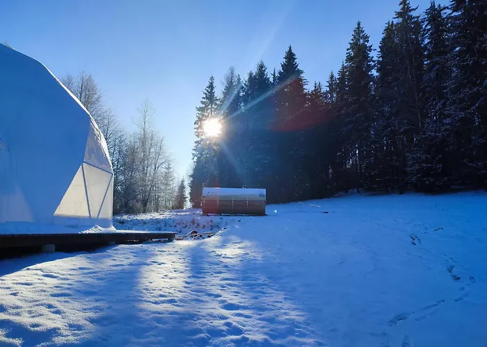 Forrest Glamp * Mieroszow