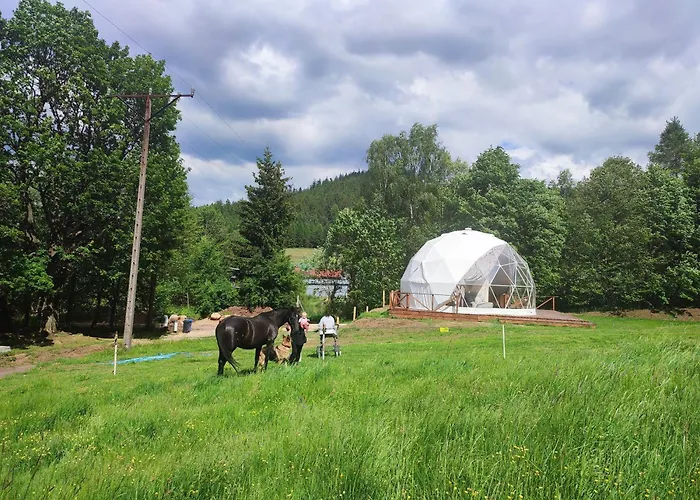 Forrest Glamp Luxusní stan Mieroszow