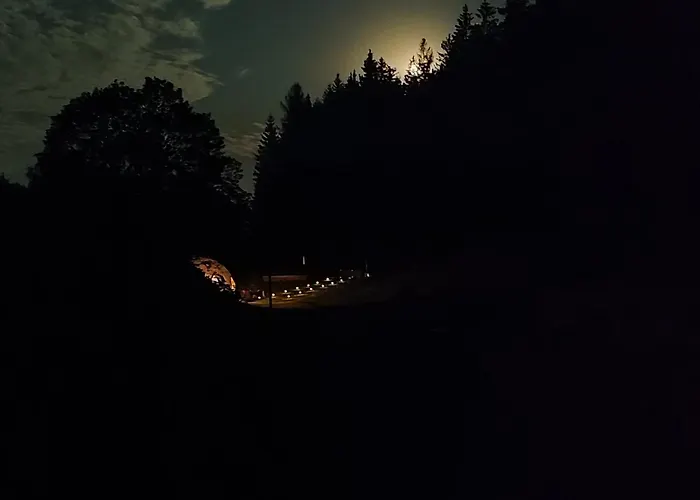 Forrest Glamp * Mieroszów