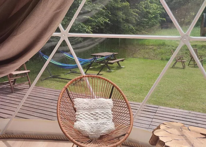 Forrest Glamp Mieroszow